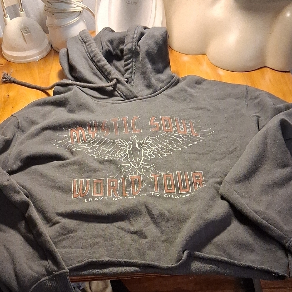 Hollister Cropped Hooded Sweatshirt Size M